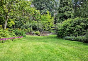 Optimiser l'expérience du jardin à Belmont-Sainte-Foi